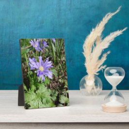 Placa Flor de jardim azul