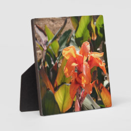 Placa Flor de laranja exótica