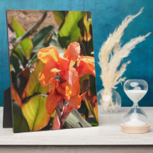 Flor de laranja exótica