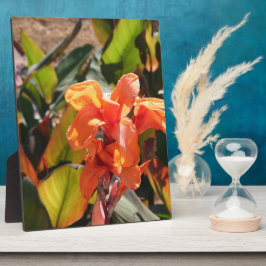 Placa Flor de laranja exótica