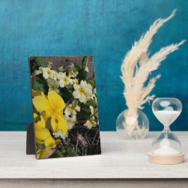 Placa Flores brancas e amarelas do jardim