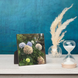 Placa Flores de Jardim