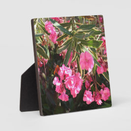 Placa Flores rosa na árvore