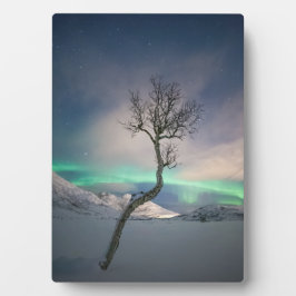 Placa Foto das luzes do norte