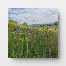 Fotografia primavera