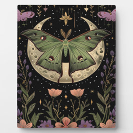 Placa Ilustração do céu noturno gótico