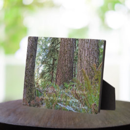Placa John Muir Quote Giant Conifer Forest