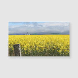 Placa Magnética de Colheita de ouros