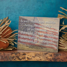 Placa Marca americana não forjada e alteração de segundo