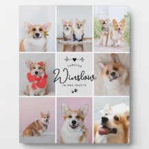 Memorial 8-Foto do Cachorro de Perda de Pet Dift