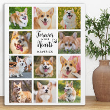 Memorial de Cachorro Para Sempre em Nossos Coraçõe