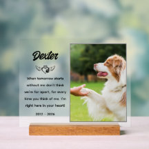 Placa Memorial Pet Personalizada