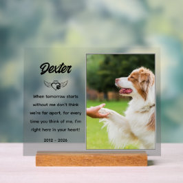 Placa Memorial Pet Personalizada