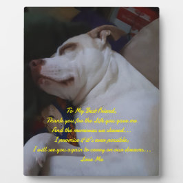 Placa Meu Melhor Amigo