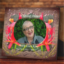 No Loving Memory Vallarta Flaming Beauty 1583