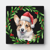 Pembroke Welsh Corgi Pet