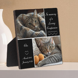 Placa Pet Memorial Lembrança Cão Gato Perda de Gato
