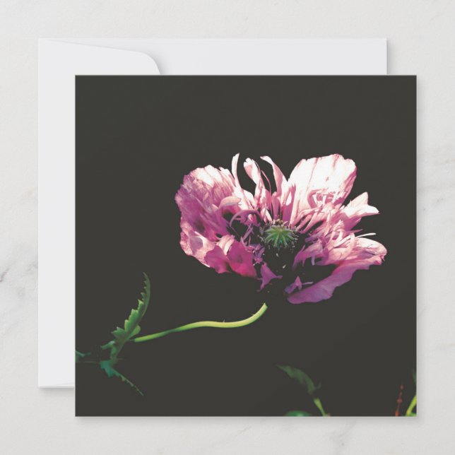 Placa plana (Frente)