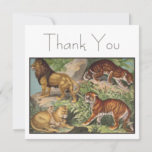 Placa plana (Frente)