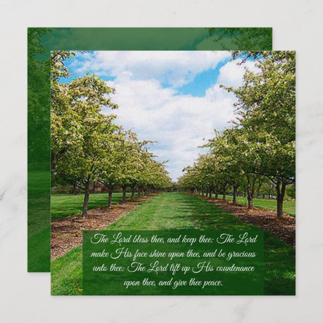 Placa plana 6:24-26 (Frente/Verso)