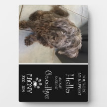 Plana de Adeus Mais Triste (Singular)