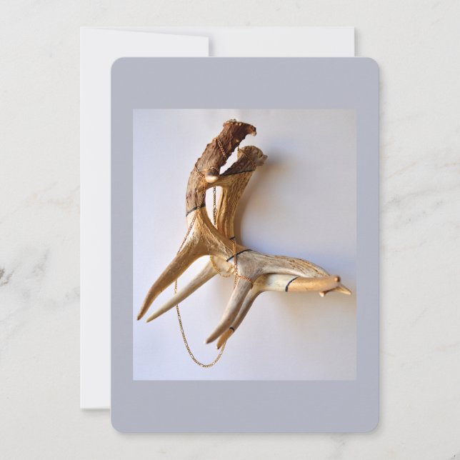 Placa plana de chifres travados (Frente)