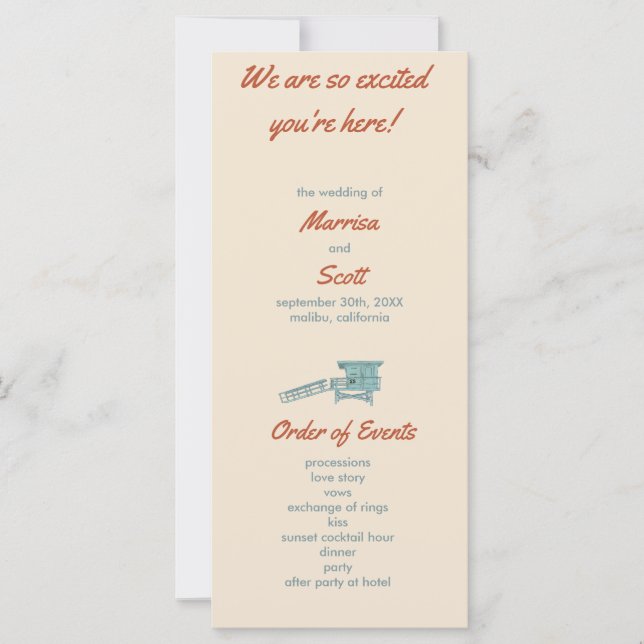 Placa Plana do Dia de Praia dos Programas (Frente)