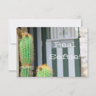 Placa Plana Funky Real Softie Green Cactus