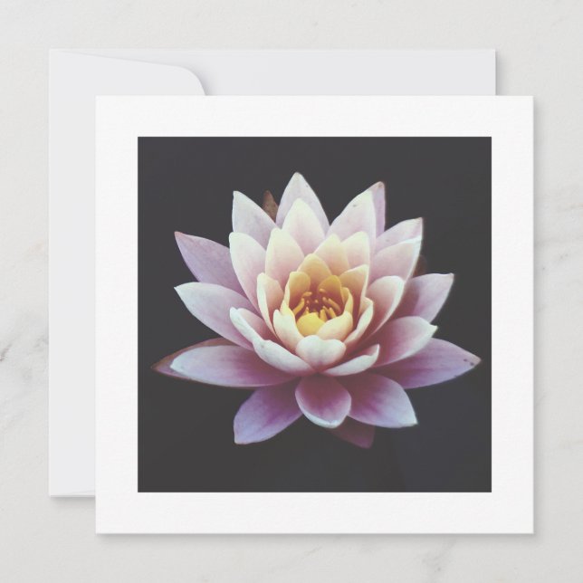 PLACA PLANA LOTUS (Frente)