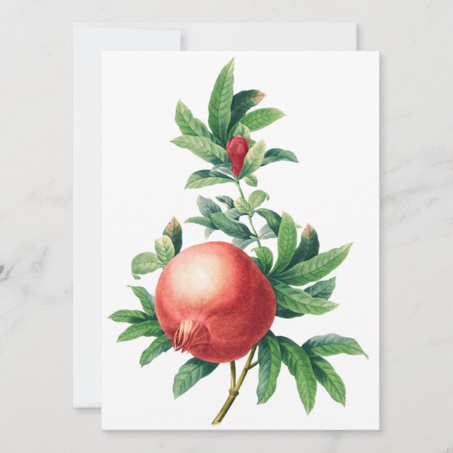 Placa plana padrão Garnet (Frente)