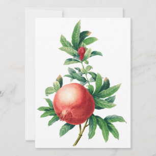 Placa plana padrão Garnet