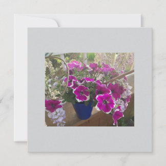 Placa plana para mensagem especial ou anúncio