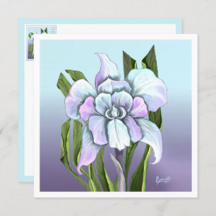 Placa plana Smeraldo Flor