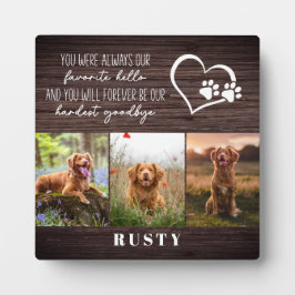 Placa Querido Olá Difícil Adeus Memorial de Pet