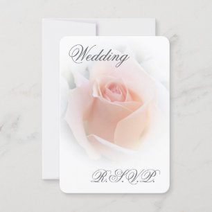 Placa RSVP de Casamento Pink-Rosebud Rosa Pink