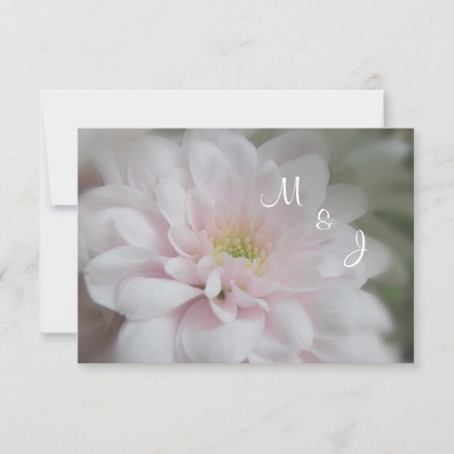 Placa RSVP de Resposta de Casamento de Mãe Rosa Da (Frente)