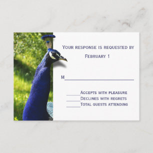 Placa RSVP de Resposta de Casamento de Peacock na 