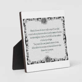 Placa Salm 1, sem piscar, Óleo Preto&Branco,