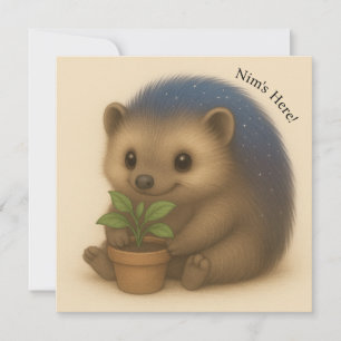 Placa série de conforto personalizável para Jardin