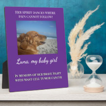 Seu Espírito Vive No Amor