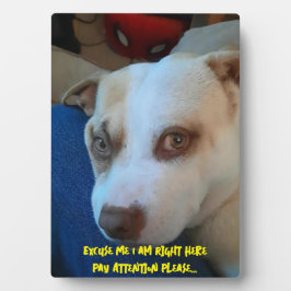 Placa Sinal de pedestal de puppy