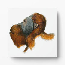 Tabletop Plaque de Orangutan com Easel