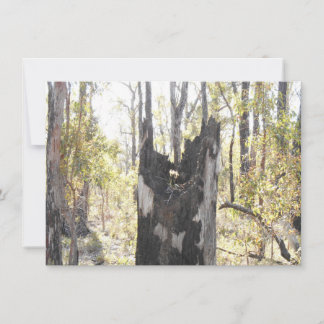 Placa Três Iluminada