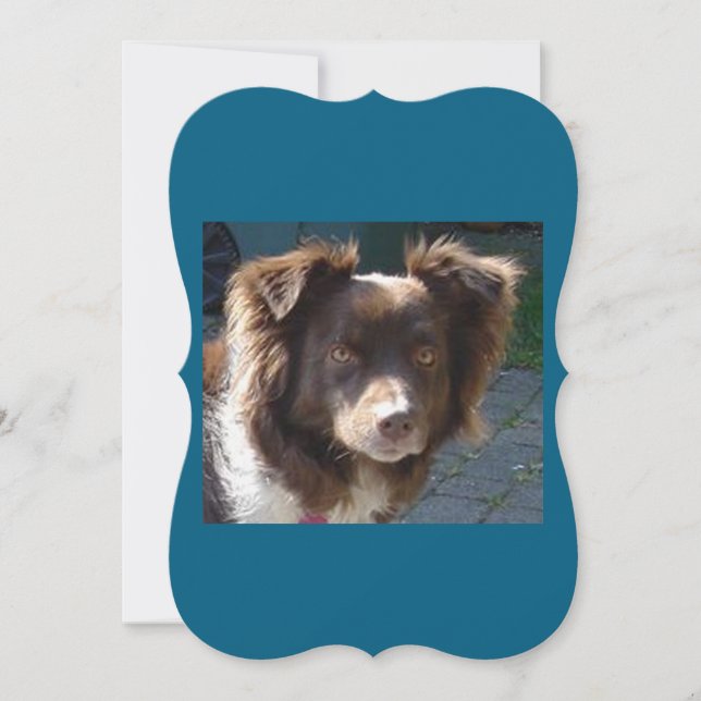 Placa Trilha Vermelha Miniatura Americana Shepherr (Frente)