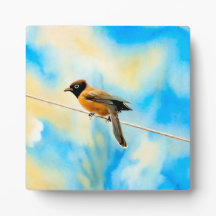 Um pássaro solitário colorido