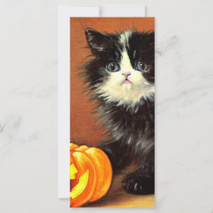 Placa Vintage Black and White Halloween Kitten