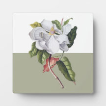 Vintage Magnolia Blossom Colorblock