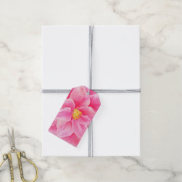 Placas cor-de-rosa, camellia floral, etiquetas de