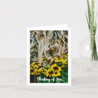 PLACAS DE CAIXA PENSANDO EM SUAS NOTAS DE VAZIO