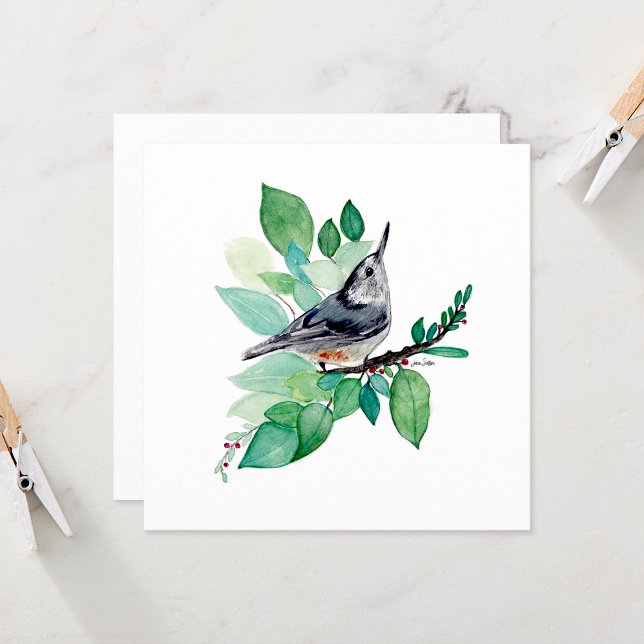 Placas de Nota de Cores de Aquarela Nuthatte (Nuthatch Elegant Watercolor blank square note cards from Jenn Steffen Art)